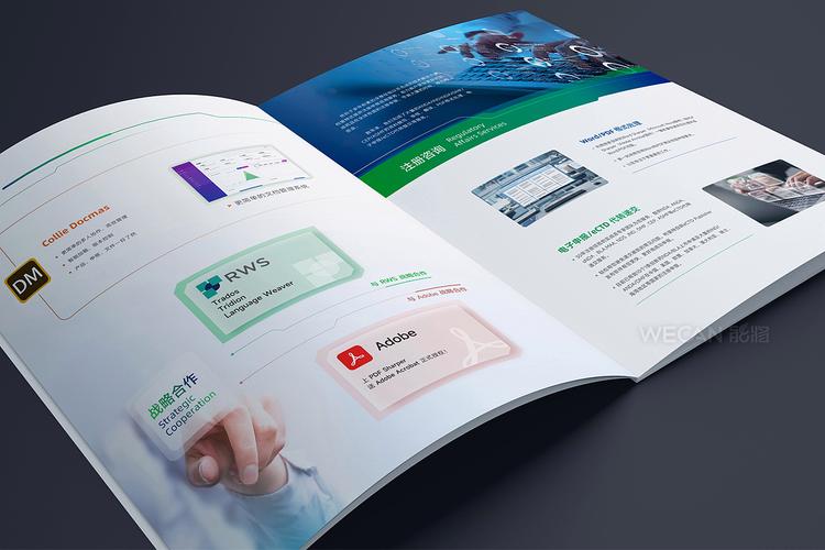 信息科技畫(huà)冊(cè)|it畫(huà)冊(cè)設(shè)計(jì)|咨詢服務(wù)畫(huà)冊(cè)